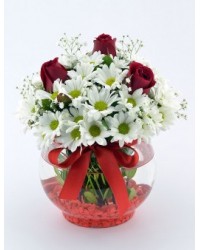 Cam Fanusta 3 Gül Papatya Cam Fanusta 3 Gül Papatya