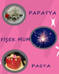 Papatya Kampanyası Papatya Kampanyası