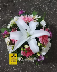 Karışık Aranjman Karışık Aranjman