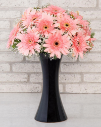 Vazoda Gerberalar